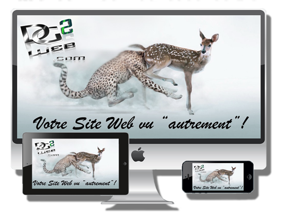 DG2web Another way to see your Website !