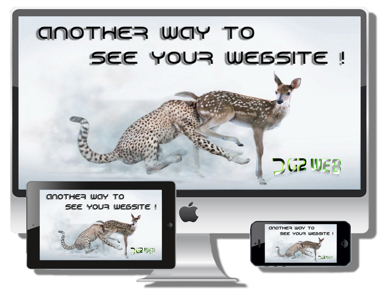 DG2web Another way to see your Website !